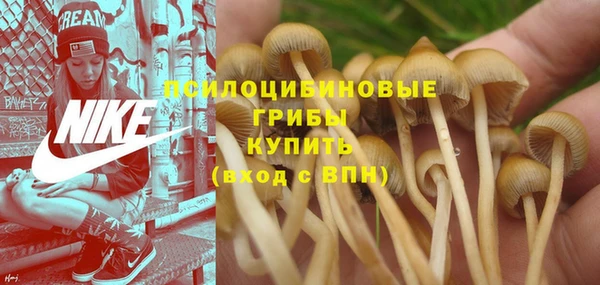 соль курить ск Михайловка