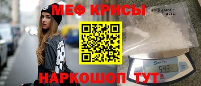 стафф Камышлов