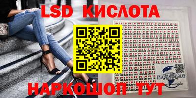 стафф Камышлов