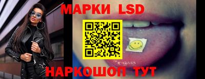стафф Камышлов