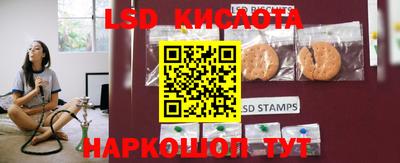 спайс Кандалакша