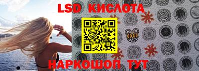 стафф Камышлов