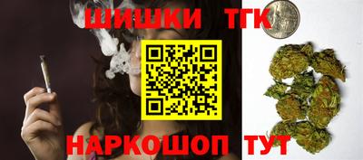 стафф Камышлов