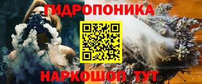 стафф Камышлов