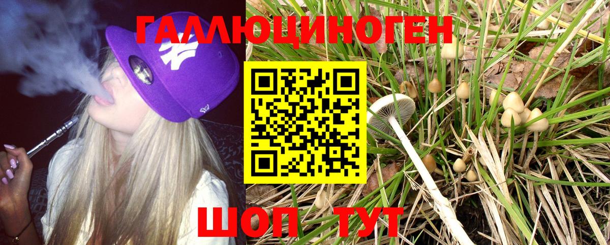 Галлюциногенные грибы GOLDEN TEACHER  Вход с VPN  цены   Псилоцибиновые грибы Cubensis  Уфа 