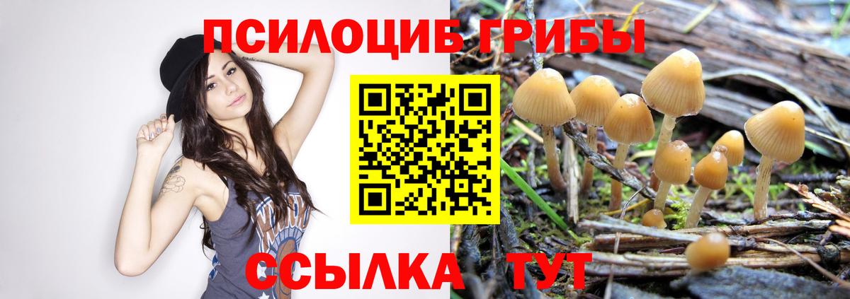 Галлюциногенные грибы мицелий Уфа